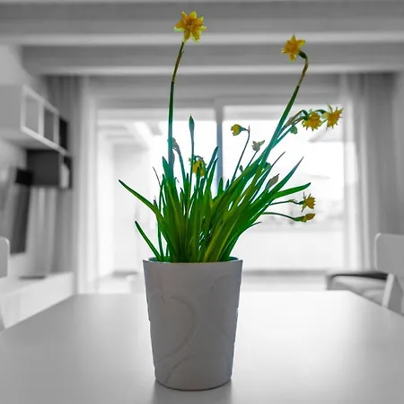 Apartament Urban Werona